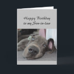 Birthday to my Son-in-law  Fun Dog Relax Humor Card<br><div class="desc">Happy Birthday to my Son-in-law definition of Relax Humor Greeting with cute relaxing Great Dane Dog</div>