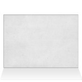 birthday tropical garden with palm trees (Inside Horizontal (Top))