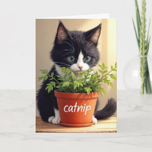 Birthday Tuxedo Kitten With Catnip Plant Card