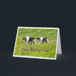 Birthday Twin Card<br><div class="desc">Twin Holstein calves photo</div>