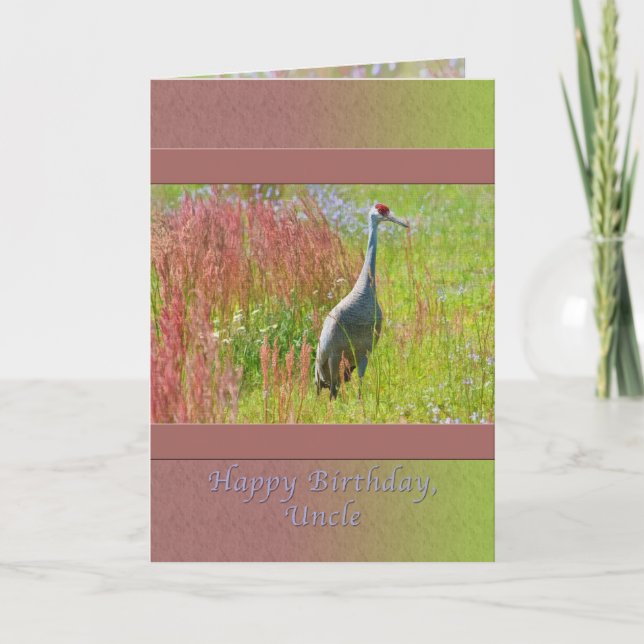 Birthday, Uncle,  Sandhill Crane Bird Card (Front)