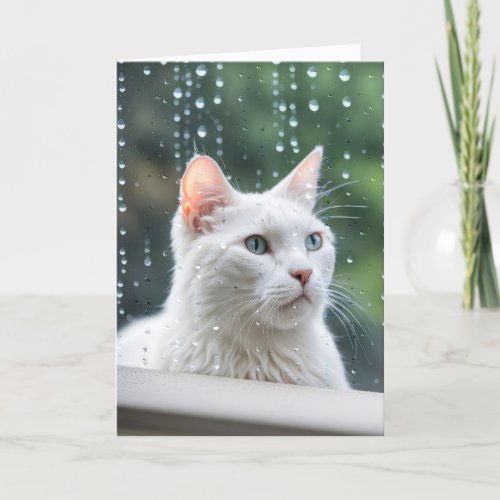 Birthday White Cat In Rainy Window Card