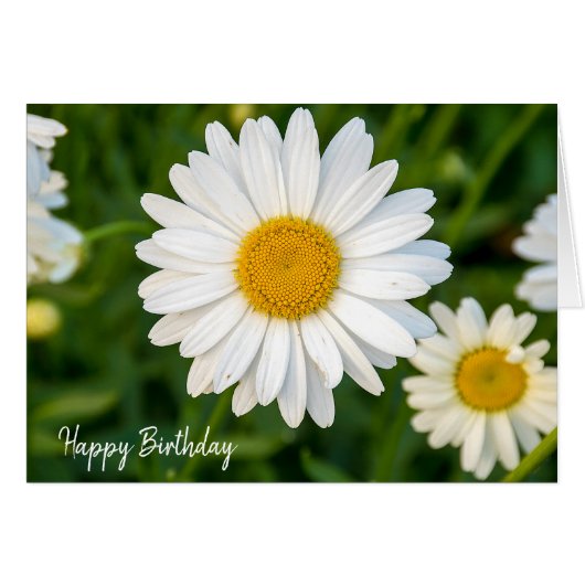 birthday white daisy cards (Front Horizontal)