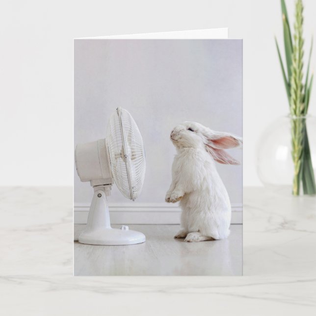 Birthday White Floppy-eared Rabbit Cooling Off Card (Front)