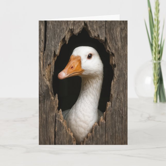Birthday White Goose Peeking Out of Hole Card (Front)