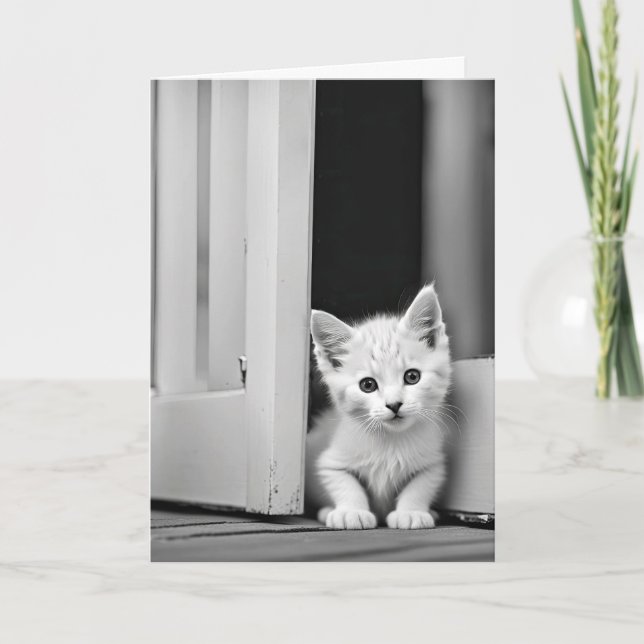 Birthday White Kitten In Doorway Card (Front)
