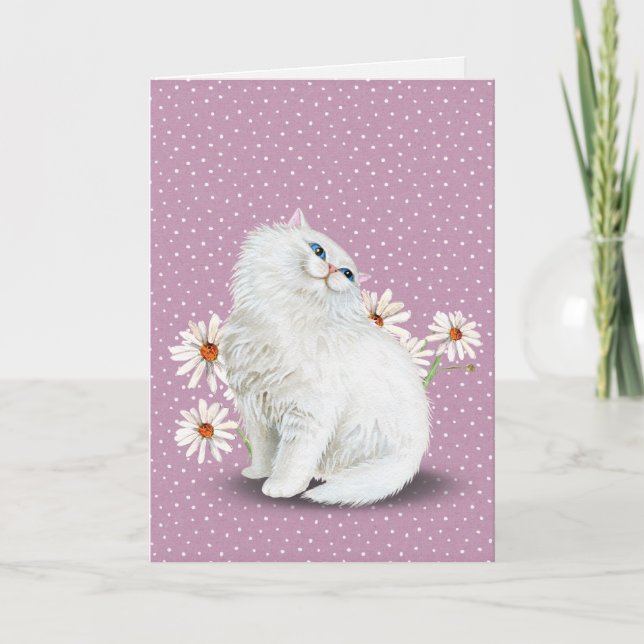 birthday white Persian cat with daisies Card (Front)