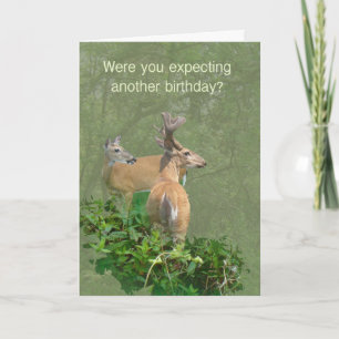 Birthday Whitetail Deer Buck & Doe Card