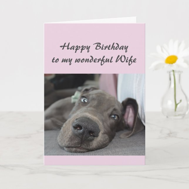 Birthday Wife Fun Dog definition of Relax Humor Card (Small Plant)