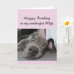 Birthday Wife Fun Dog definition of Relax Humor Card<br><div class="desc">Happy Birthday Wife definition of Relax Humor Greeting with cute relaxing Great Dane Dog</div>