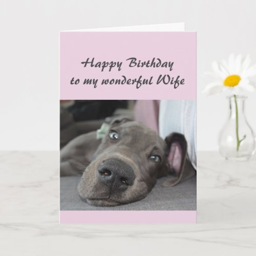 Birthday Wife Fun Dog definition of Relax Humor Card