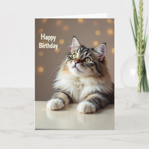 Birthday Wish Fluffy Cat Card
