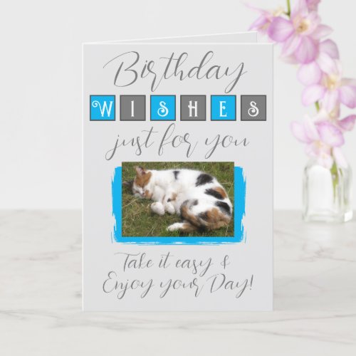 Birthday wishes add cat photo grey blue card