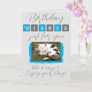 Birthday wishes add cat photo grey blue