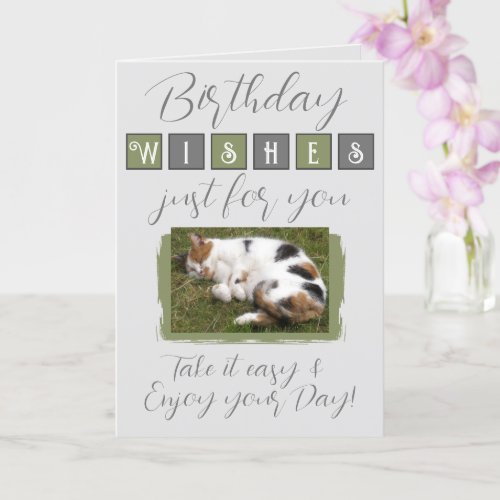 Birthday wishes add cat photo grey green card