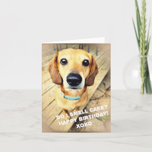 Birthday Wishes Dog Photo Card