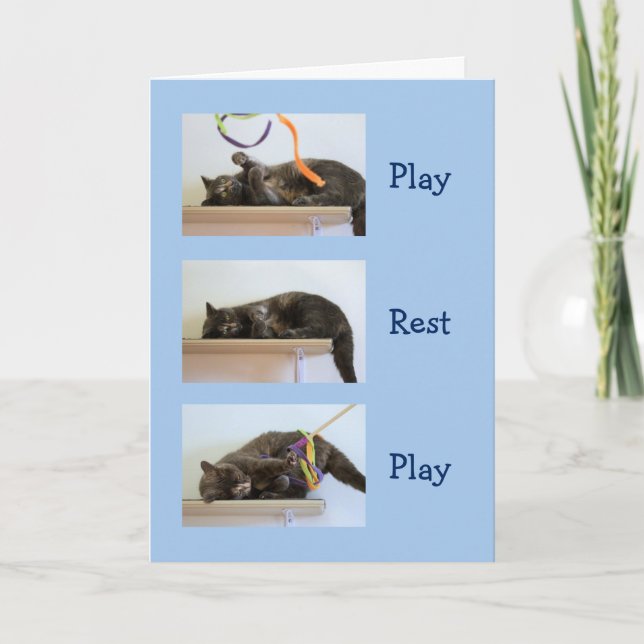 Birthday Wishes for Cat People Card (Front)