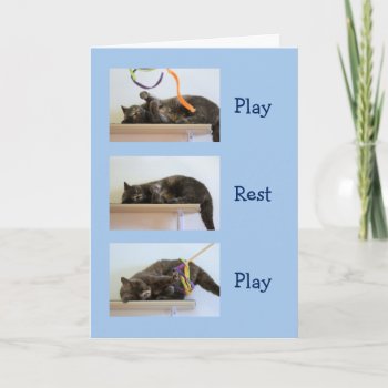 Birthday Wishes For Cat People Card by marshaliebl at Zazzle