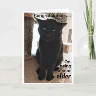 Birthday Wishes for Older People Card