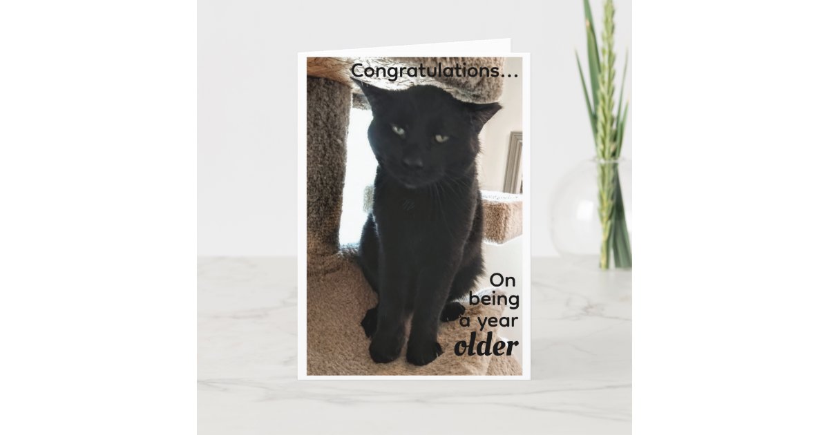 birthday-wishes-for-older-people-card-zazzle