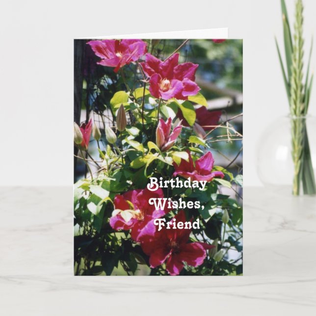Birthday Wishes, Friend, pretty Clematis blooms . Card (Front)