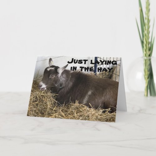 BIRTHDAY WISHES FROM A THOUGHTFUL GOAT CARD