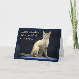 Birthday Wishes from Gorgeous Cat on Blue Chair Card