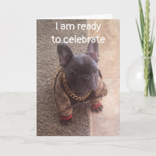 BIRTHDAY WISHES FROM ONE COOL DOG CARD