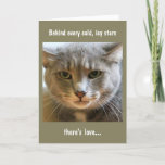 Birthday Wishes From The Cat Card at Zazzle