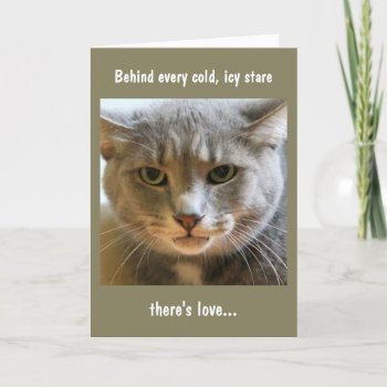 Birthday Wishes From The Cat Card by marshaliebl at Zazzle