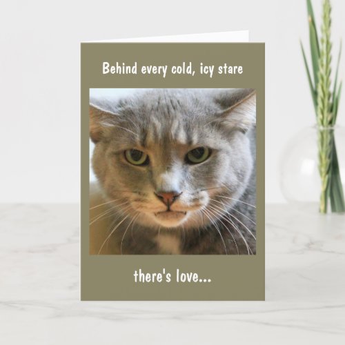 Birthday Wishes from the Cat Card