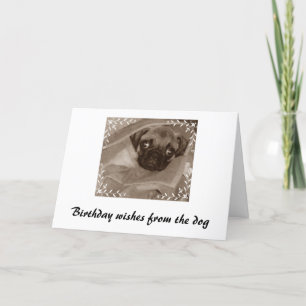 Birthday wishes from the dog card