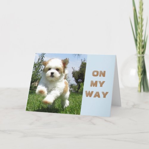 BIRTHDAY WISHES FROM THIS VERY HAPPY PUPPY HOLIDAY CARD