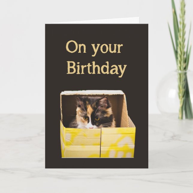 Birthday Wishes Happy as Cat in Box Fun Card (Front)