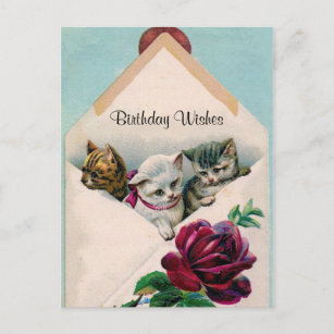 Birthday Wishes - Kittens in Envelope - Post Card