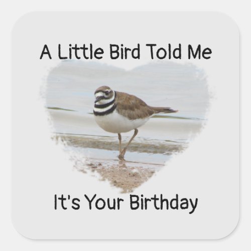 Birthday Wishes Little Bird Humorous Envelope Seal