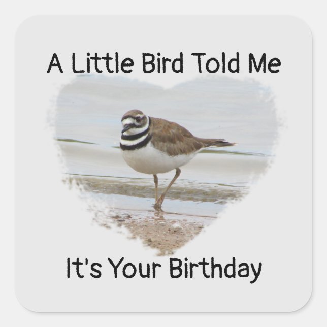 Birthday Wishes Little Bird Humorous Envelope Seal (Front)