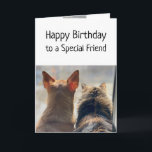 Birthday Wishes Special Friend Cute Animals Pets Card<br><div class="desc">Cute Dog and cat looking out together.  Birthday card for your special friend</div>