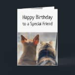 Birthday Wishes Special Friend Cute Animals Pets Card<br><div class="desc">Cute Dog and cat looking out together.  Birthday card for your special friend</div>