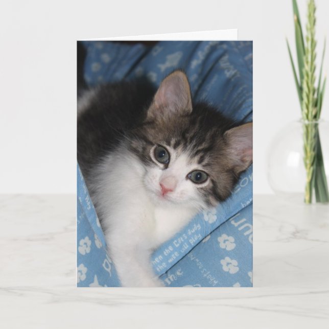 Birthday Wishes "The Purr--fect Birthday" Card (Front)