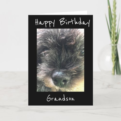 BIRTHDAY WISHES TO GRANDSON CARD