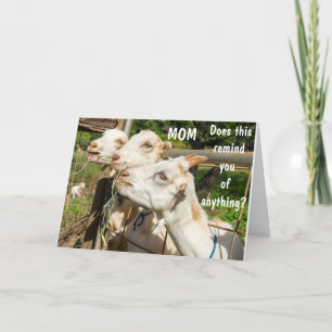 BIRTHDAY WISHES TO MY MOM ON YOUR DAY! CARD