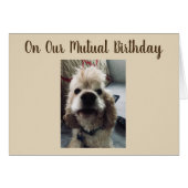 BIRTHDAY WISHES TO YOU ON OUR MUTUAL BIRTHDAY (Front Horizontal)