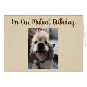 BIRTHDAY WISHES TO YOU ON OUR MUTUAL BIRTHDAY CARDS