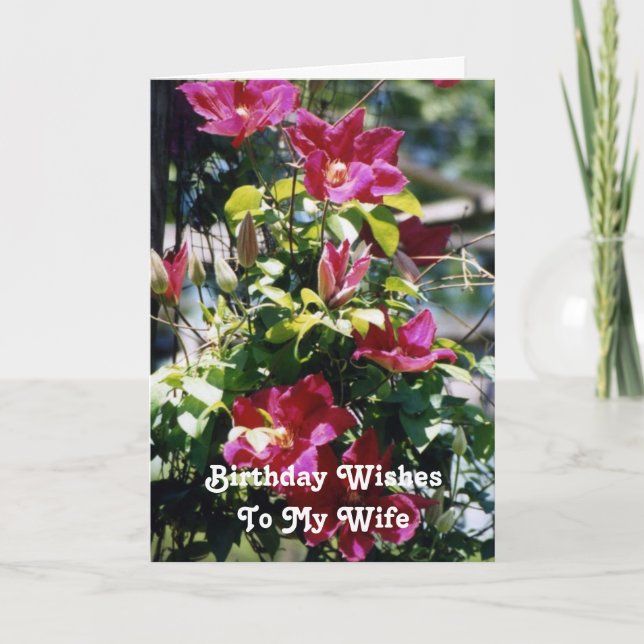Birthday Wishes, Wife, pretty Clematis blooms . Card (Front)