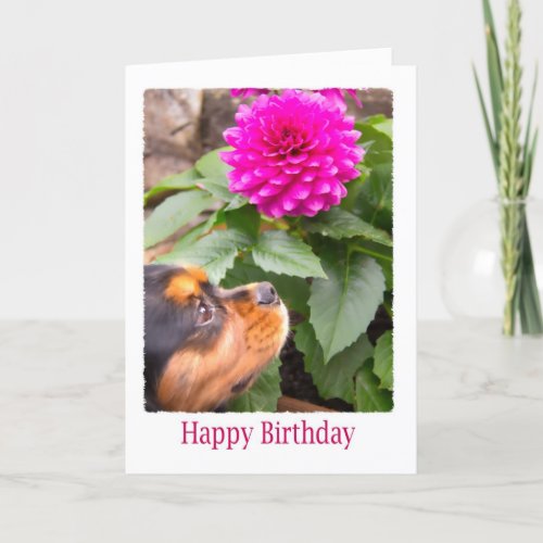 Birthday Wishes With Dahlia And Spaniel Dog Card