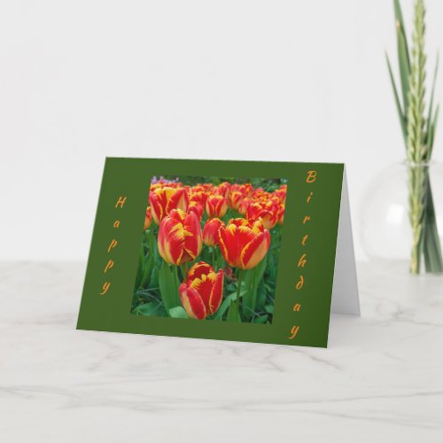 BIRTHDAY WISHES WITH DELIGHTFUL TULIPS CARD