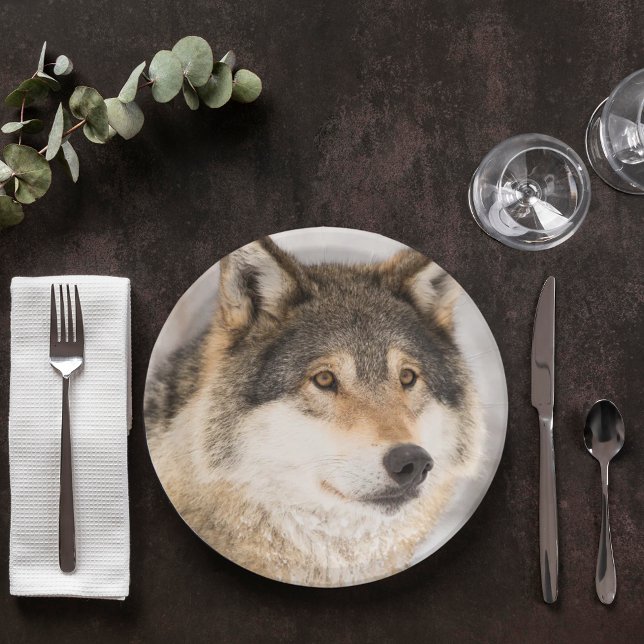 Birthday wolf cute  boy paper plates (Creator Uploaded)