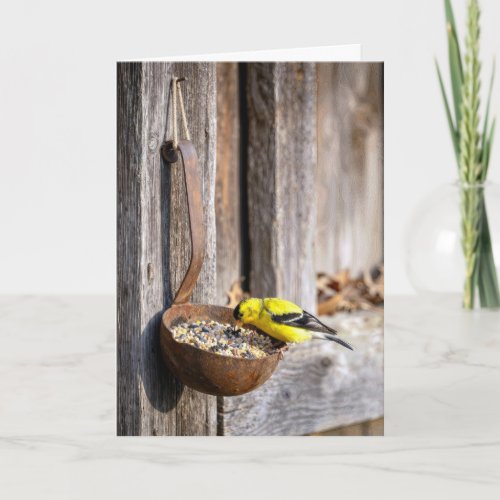 Birthday Yellow Finch on Rusty Ladle Card