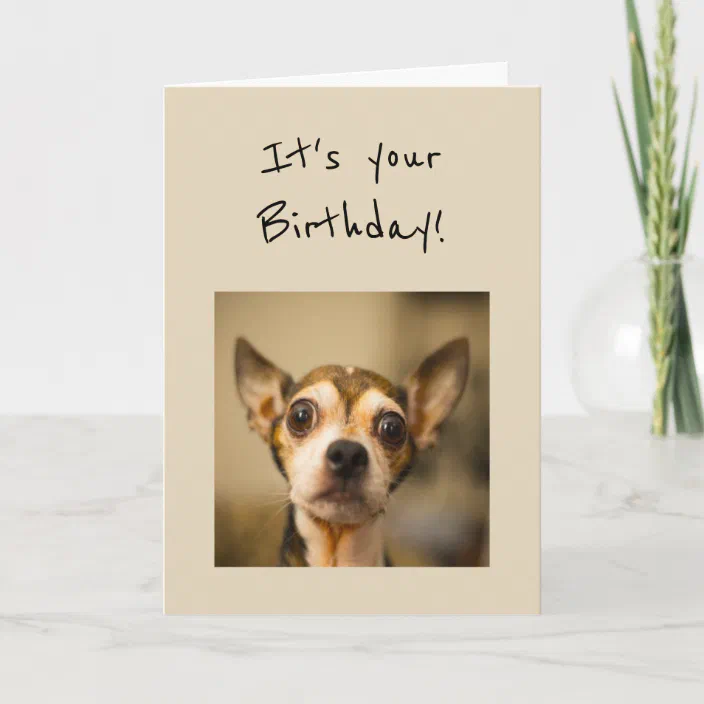 Birthday S Are Scary Fun Chihuahua Dog Card Zazzle Com